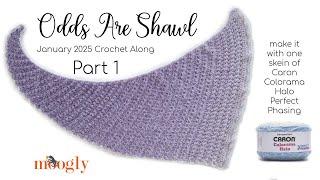 How to Crochet: Odds Are Shawl (Left Handed)