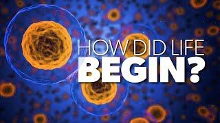 Proof for God - How Did Life Begin?