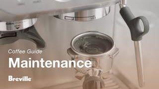 The Barista Express® | How to perform a cleaning cycle on your espresso machine | Breville USA