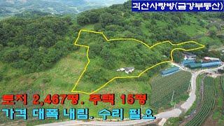 546-1. 괴산군 감물면. 산자락 넓은 토지와 작은 집. 토지 2,467평. 주택 15평. 괴산사랑방, 괴산부동산, 괴산토지, 괴산땅, 괴산전원주택지, 금강부동산.