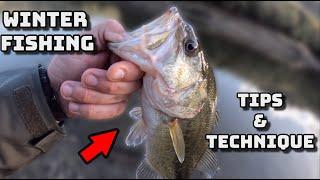 Want to Catch MORE Winter Bass? (Bass Fishing Tips)