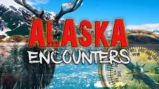 3 Terrifying CRYPTID Encounters From ALASKA That are NIGHTMARE FUEL