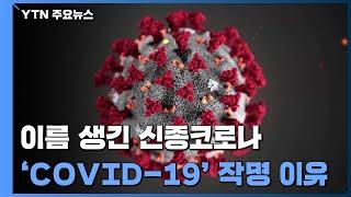 [앵커리포트] 이름 생긴 신종코로나...'COVID-19' 작명 기준은? / YTN