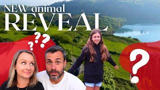 new animals on the farm: happy REVEAL | exciting day on our off grid homestead