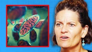 Your Mitochondria Have Been Waiting for THIS... | Dr. Mindy Pelz