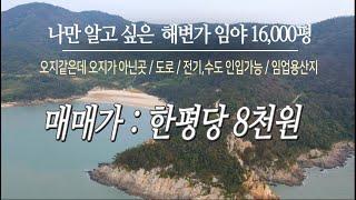 [목포토지사랑 208] 바닷가 자연인 토지(신안 임자 재원도) / 아름다운 해안가 임야 16,000평 / 포장도로 차량진입가능 / 수도,전기 인입용이 / 평당 8천원