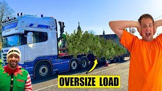 DELIVERING A HUGE 40ft CHRISTMAS TREE | #truckertim