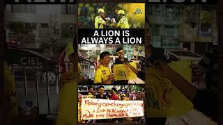 "Win or Lose a Lion is always a lion" | CSK  vs KKR Public Review #csk #cskvskkr