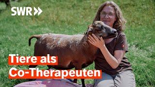 Zu Gast bei Andrea Göhring in Oberschwaben (S16/E05) | Lecker aufs Land