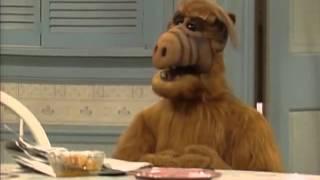 ALF best moment :D Willy, Willy, Willy