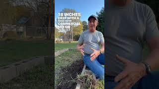 How do YOU Treat Yellow Nutsedge?