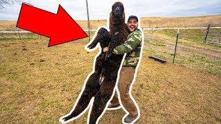 I Bought a GIANT ALPACA for My BACKYARD FARM!! (Exotic Auction)