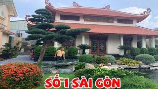 CHOÁNG NGỢT VỚI KHU VƯỜN BONSAI ĐẮT GIÁ BẬC NHẤT SÀI GÒN - Bonsai Sài gòn