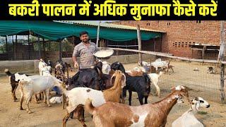 बकरी पालन में अधिक मुनाफा कैसे करें | goat farming hindi | bakri palan profit