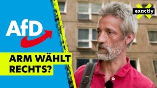 AfD-Erfolg in der Platte in Dresden – arm wählt rechts? | Doku | exactly