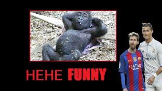 funny monkey clips and messi and ronaldo pictures together