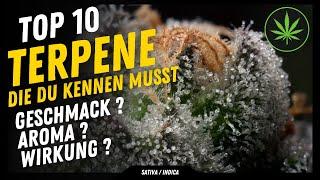 Top 10 der Wichtigsten Terpene und ihre Wirkung um die richtige Sorte zu finden , die für dich passt