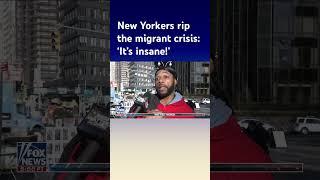 'Jesse Watters Primetime' asks New Yorkers about the migrant crisis #shorts