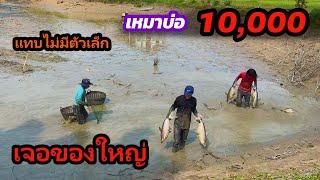 เหมาบ่อ 10,000 บาท มีแต่ตัวใหญ่ๆ แทบไม่มีตัวเล็ก | Ep.205