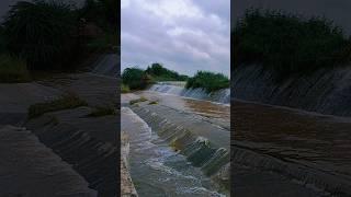 #morningnature #villagemorningroutine