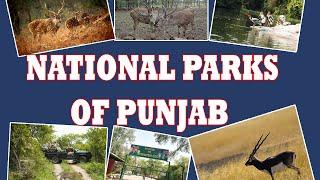 || NATIONAL PARKS OF PUNJAB || TRAVEL PUNJAB || KRANTI ODISHA TRAVEL ||