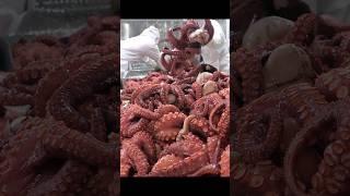 Extreme job! Overwhelming parboiled octopus factory #Shorts