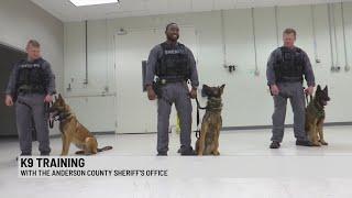 Anderson Co. newest K9s and training