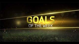 FIFA 14 goals of the week