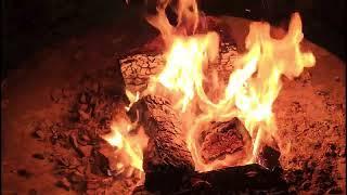 10분 같이 불멍 할까요? | Relaxing Campfire | 10분간 쉬는시간