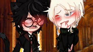 Don’t Go Kitty-Kitty |Drarry FLUFF| ️‍⬛️