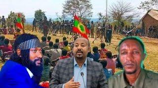 02/08/2024 injifannoo cululuuqaa Waraana Bilisummaa Oromo WBO ajeecha jumlaa samicha jumla Baha Lixa