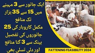 11 lac profit from 25 fattening animals II Fattening animal feasibility with farmers 2024