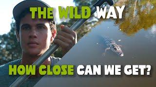 Alligator in the Backyard! | The Wild Way Ep 19