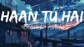 Haan tu Hai(Slowed+reverb) Kk Pm music creator