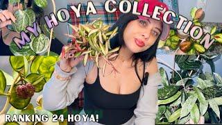 Ranking My ENTIRE Hoya Collection🪴  24 Different Species!!