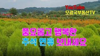 오광국부동산TV에서 드리는 추석 인사