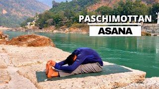  Paschimottanasana (Seated Forward Bend) for Beginners - Paschimottanasana Step by Step,  Benefits