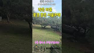 1991.작은마을 풍경 좋은 시골주택 하납읍소재지 3분 조경수 가닥한 마당 281평 민박 귀촌주택 #shorts#밀양전원주택#밀양주말주택#밀양민박주택#밀양부동산