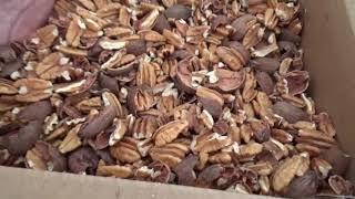 Hwy 84 Pecan Shop is where I have my pecans cracked - Native Pecans as well as Varietals!