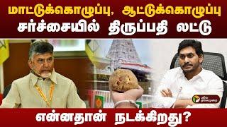 திருப்பதி லட்டில் விலங்குகளின் கொழுப்பு | Tirupati Laddu | PTT