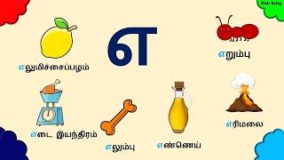 20 'எ' வரிசை சொற்கள் | Words Starting with எ | எ சொற்கள் |  எ வரிசை சொற்கள் படங்கள்