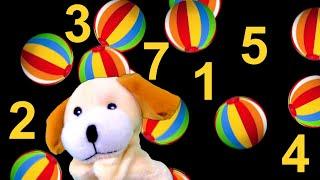 Skipped NUMBERS! New Counting Game (with Excite Dog!)