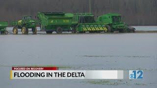 'Farmers are going broke', Backwater flood engulfing the Delta again