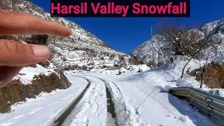 Harsil Valley | Harsil Valley Snowfall | Harsil Valley Uttarakhand #trending #viralvideo #video