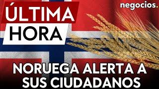 ÚLTIMA HORA | Noruega alerta a sus ciudadanos: acumula cereales ante una posible guerra en Europa