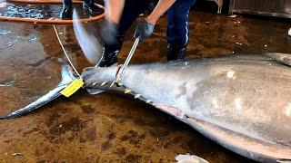 485 kg Super-Giant Bluefin Tuna 3 minutes Fluency Cut