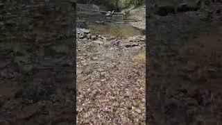 Awenda Provincial Park