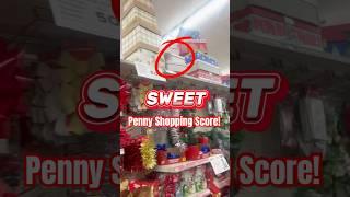 Penny Shop with Me at Dollar General! Check Out What I Scored!!