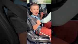 EZ-ON Car Seat Harness