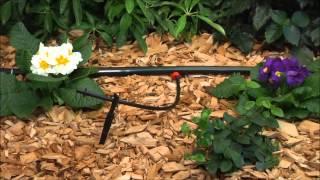 Rain Bird Drip Irrigation System